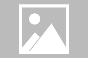  Rookie在篮网比赛中战术调整，赛事规则更新引发热议！-半岛体育APP
