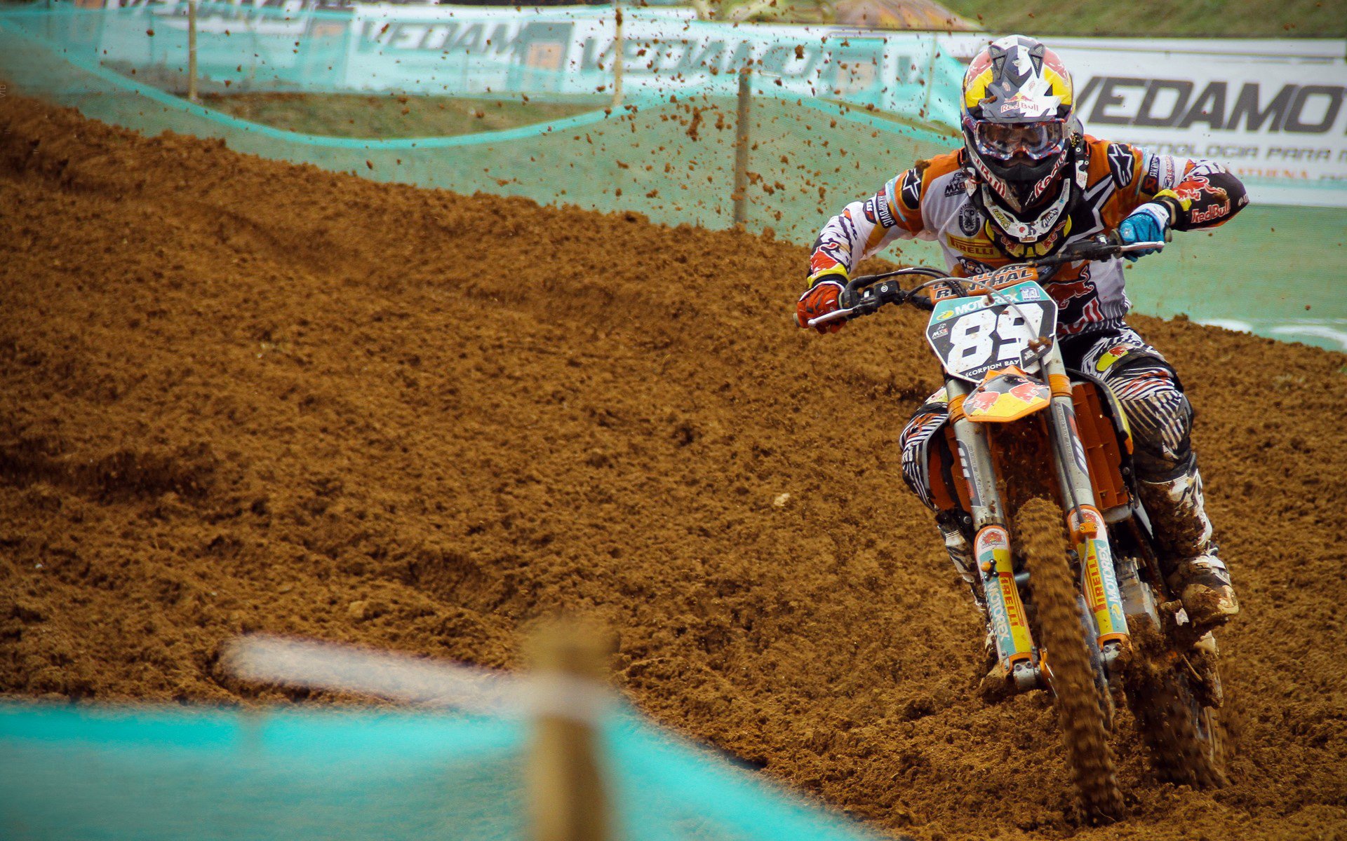 综合格斗赛场焦点！瑞士队对阵中国队，冠军之争悬念重重，胜负难料